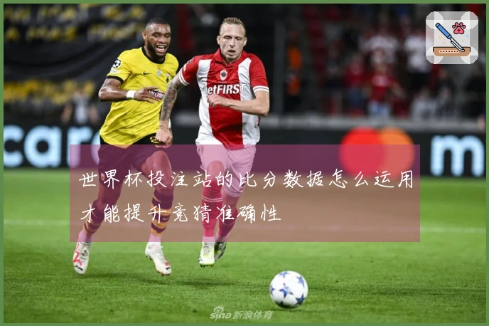 世界杯投注站的比分数据怎么运用才能提升竞猜准确性