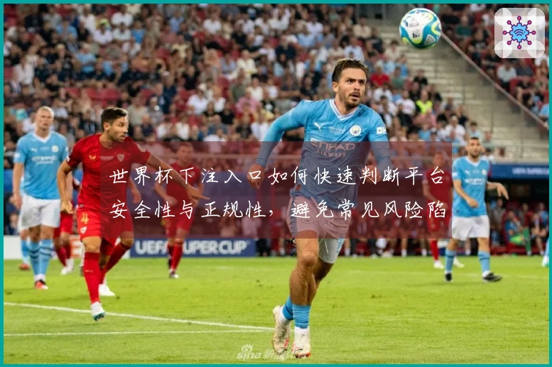 世界杯下注入口如何快速判断平台安全性与正规性，避免常见风险陷阱
