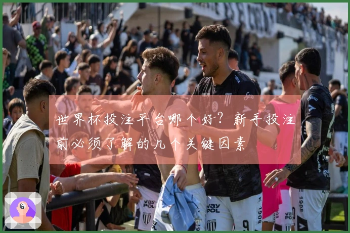 世界杯投注平台哪个好？新手投注前必须了解的几个关键因素