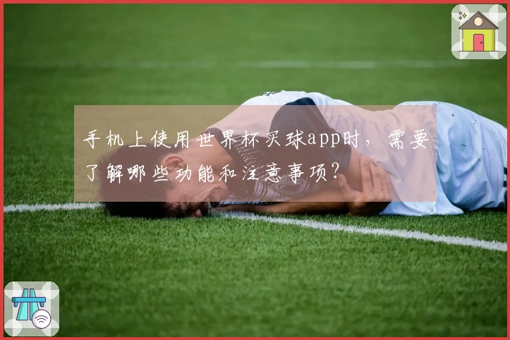 手机上使用世界杯买球app时，需要了解哪些功能和注意事项？