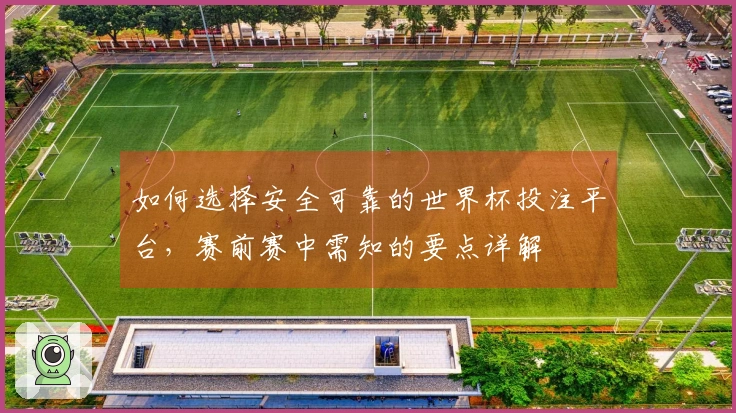 如何选择安全可靠的世界杯投注平台，赛前赛中需知的要点详解
